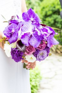 Central Park Elopement NYC