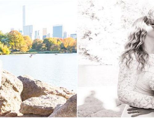 Central Park in Love – Jason & Liz