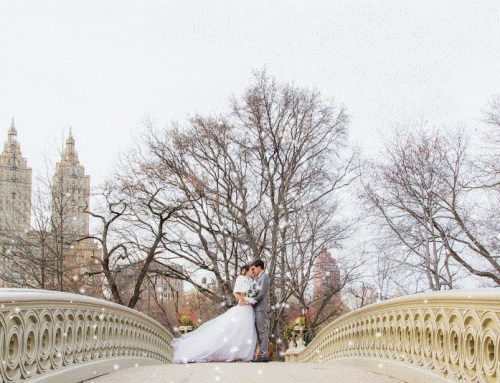Winter Wedding Photos Central Park NYC