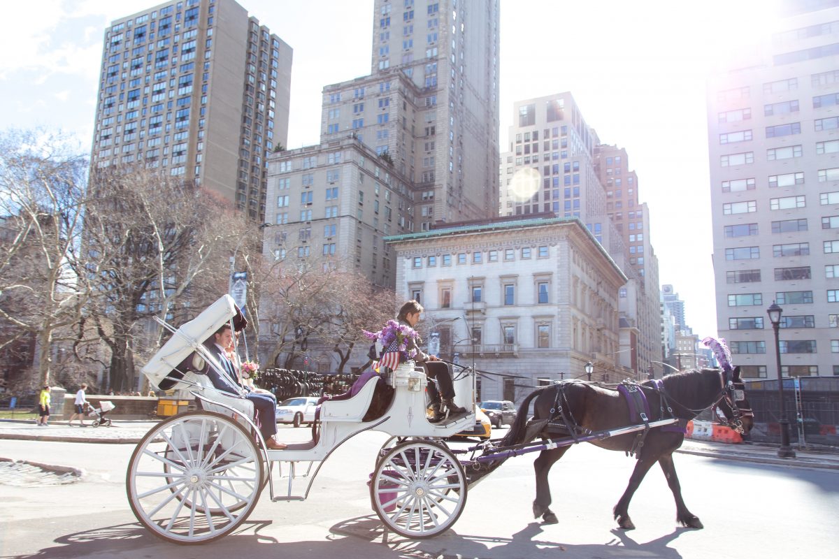 Central Park Elopement Wedding – Matt & Amywww.knotbythesea.com